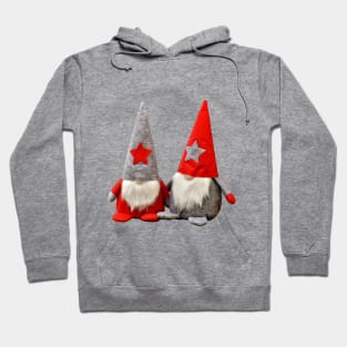 Gnomes Hoodie